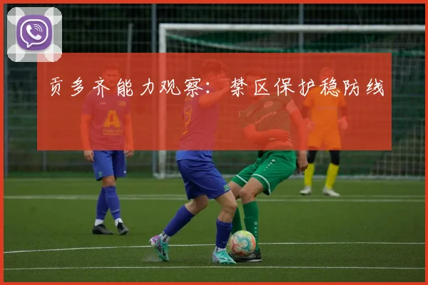 贡多齐能力观察：禁区保护稳防线