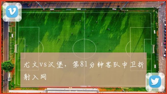 尤文vs汉堡,第81分钟客队中卫折射入网