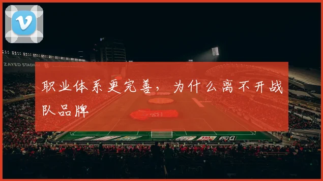 职业体系更完善,为什么离不开战队品牌